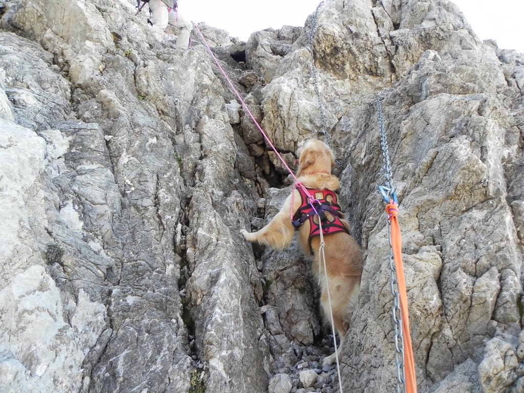 clic ici pour suivante