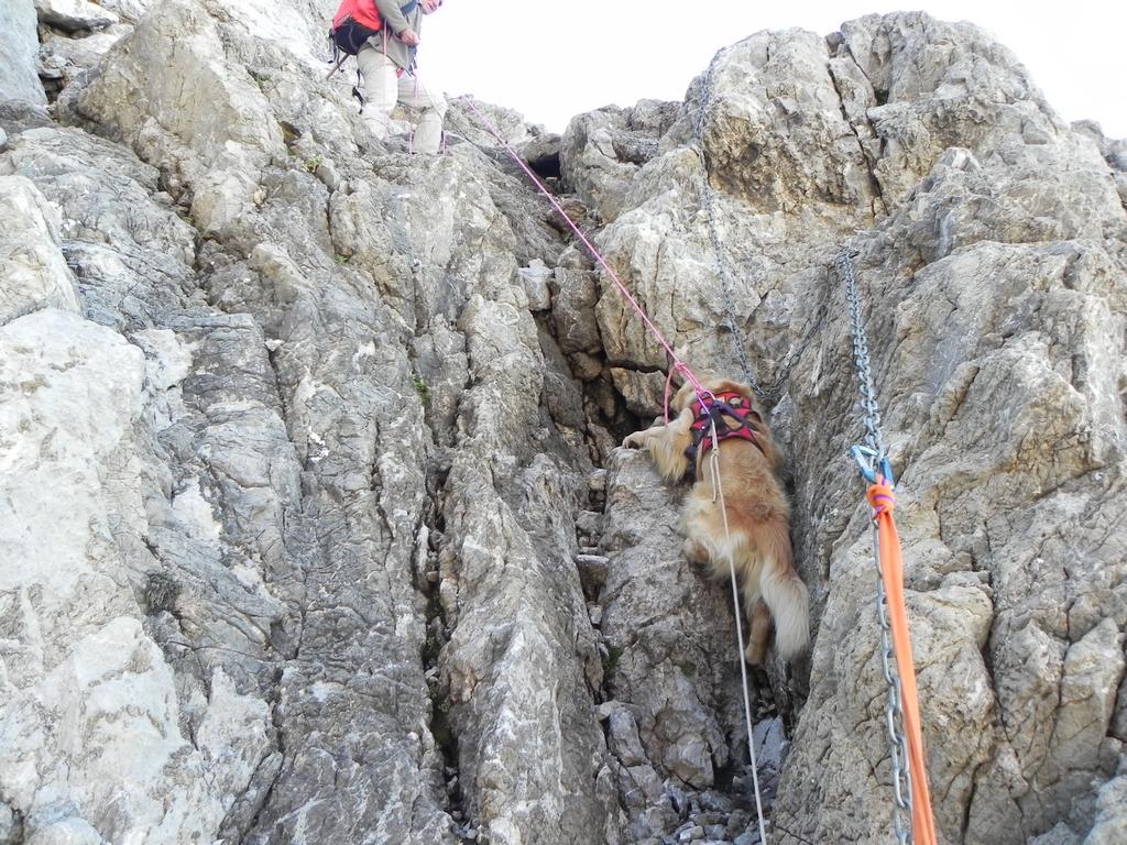 clic ici pour suivante