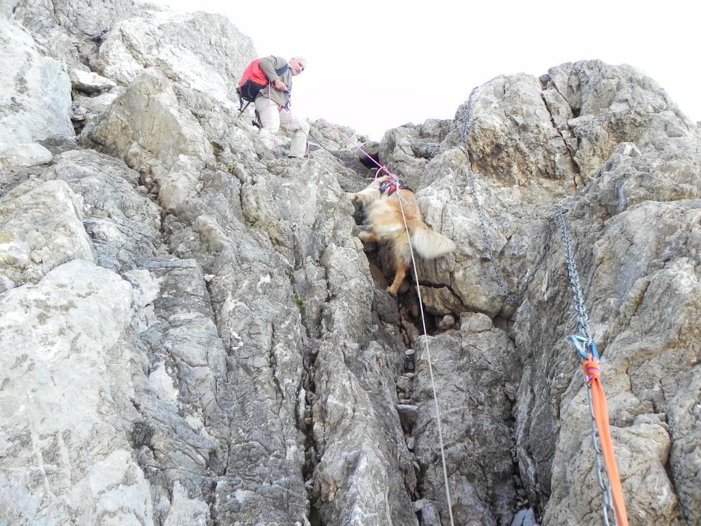 clic ici pour suivante