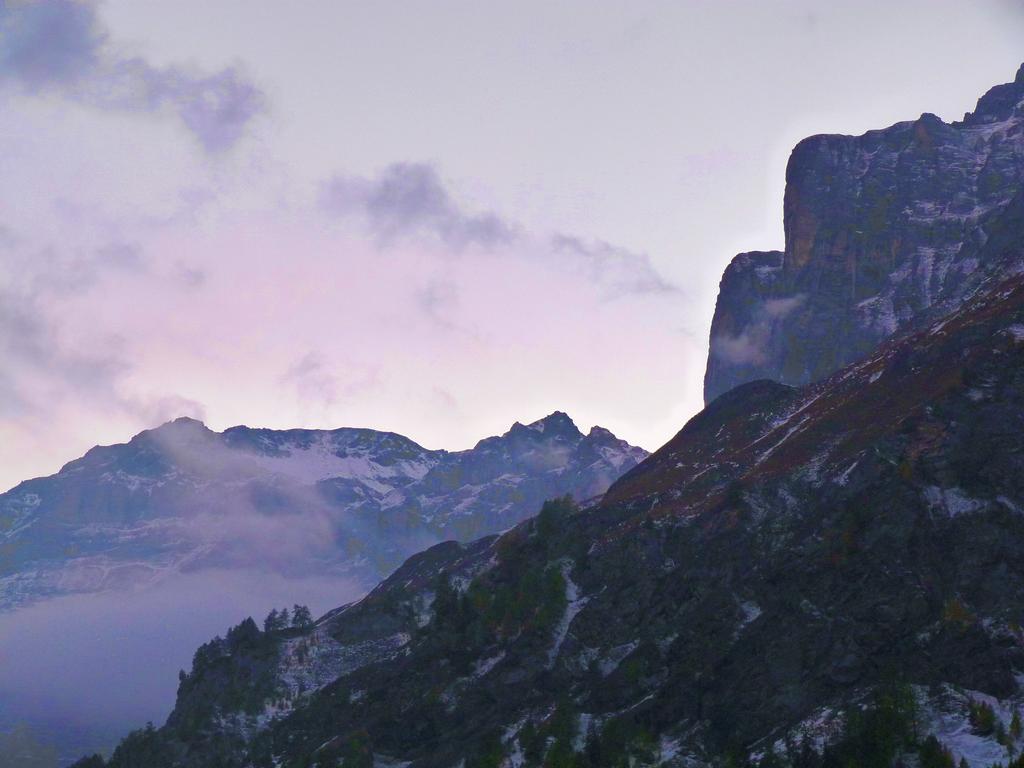 clic ici pour suivante