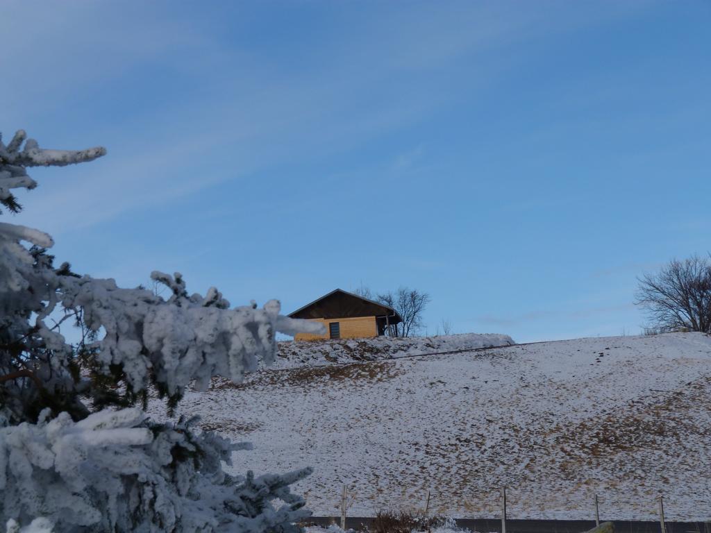 Cliqeu pour voir l'image suivante