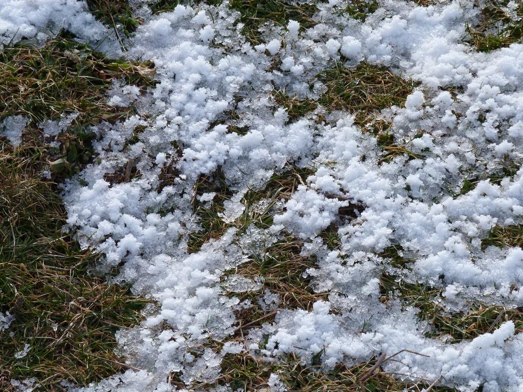 Cliqeu pour voir l'image suivante