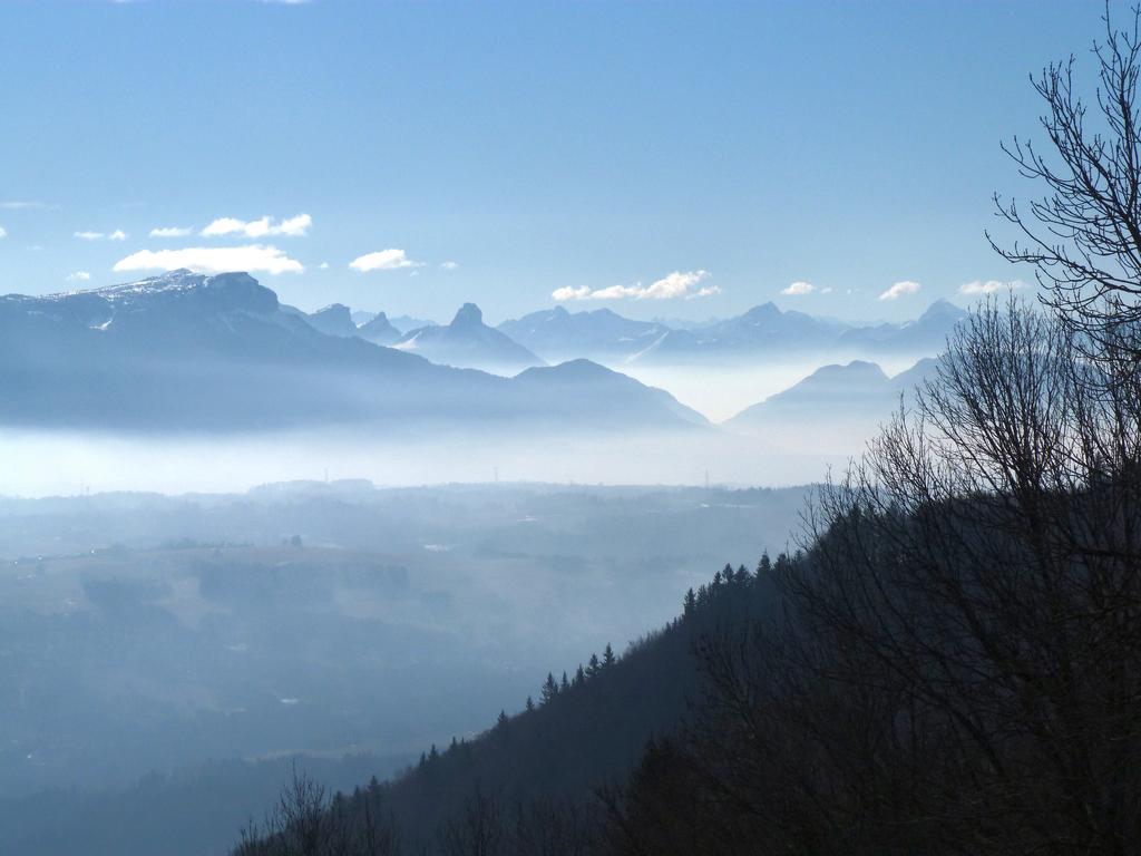 Cliqeu pour voir l'image suivante