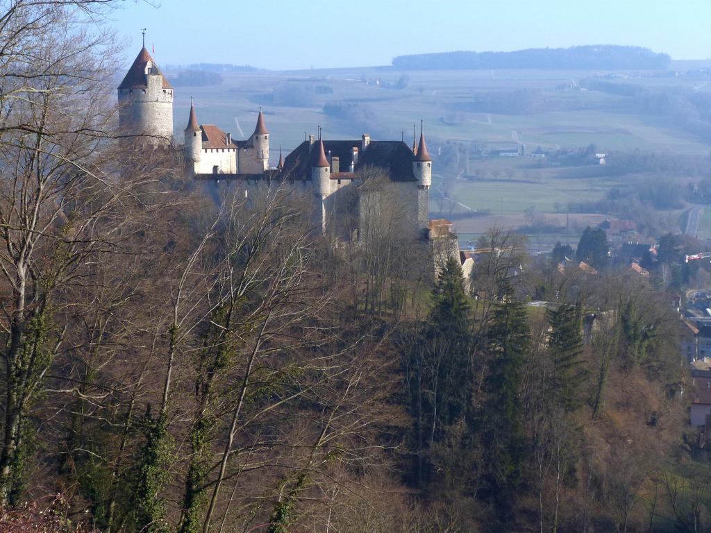 Cliqeu pour voir l'image suivante