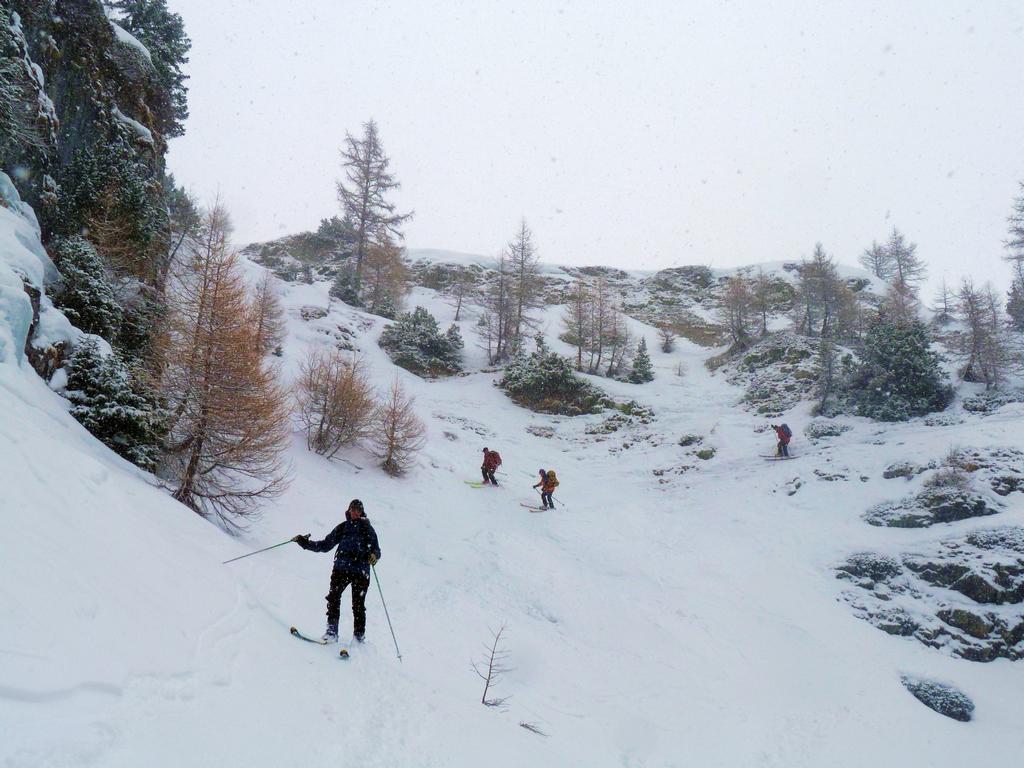 Cliqeu pour voir l'image suivante