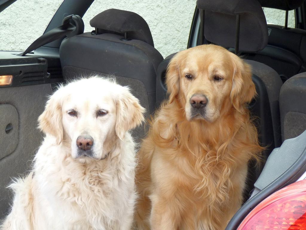 Cliqeu pour voir l'image suivante