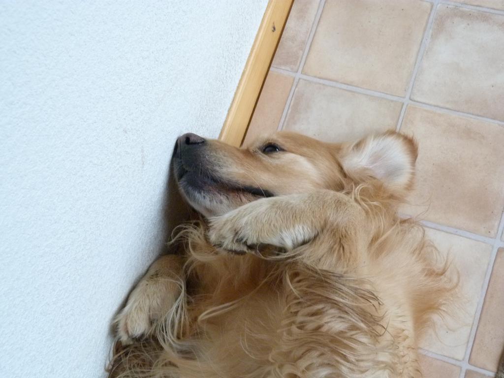 Cliqeu pour voir l'image suivante