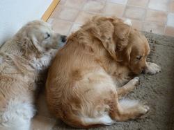 Clic pour agrandir l'image (1024x768 pixels; 109 KB)