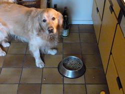 Clic pour agrandir l'image (1024x768 pixels; 108 KB)