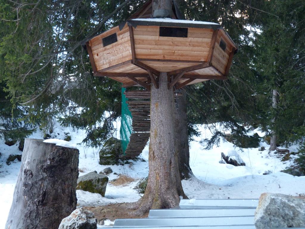 Cliqeu pour voir l'image suivante