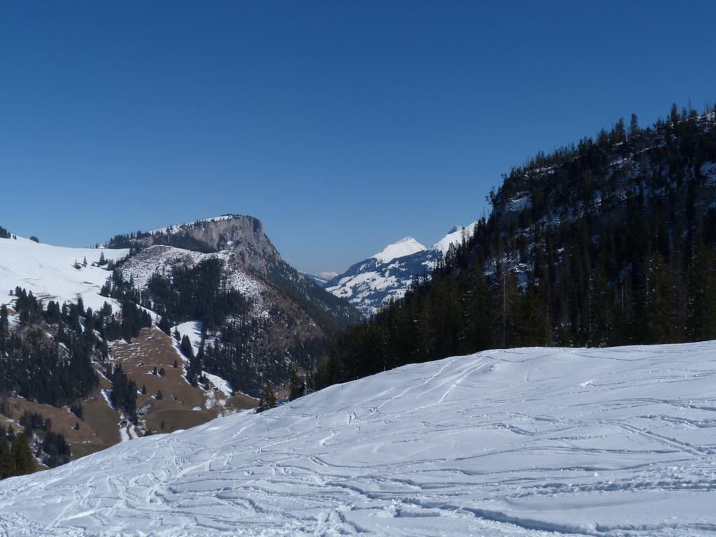 Cliqeu pour voir l'image suivante