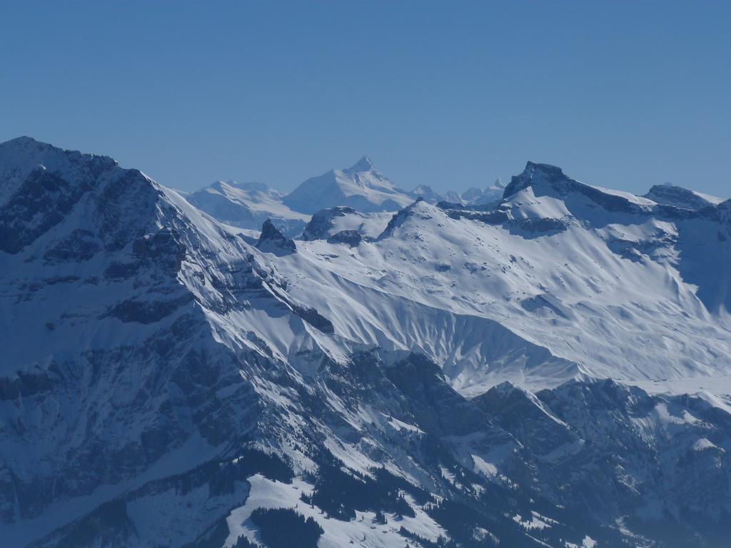 Cliqeu pour voir l'image suivante