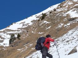 Clic pour agrandir l'image (1024x768 pixels; 161 KB)