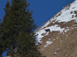 Clic pour agrandir l'image (1024x768 pixels; 156 KB)