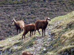 Clic pour agrandir l'image (1024x768 pixels; 192 KB)