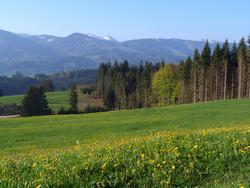 Clic pour agrandir l'image (1024x768 pixels; 156 KB)