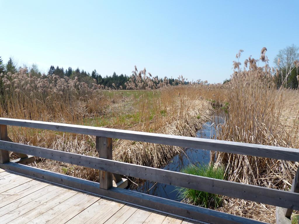 Cliqeu pour voir l'image suivante