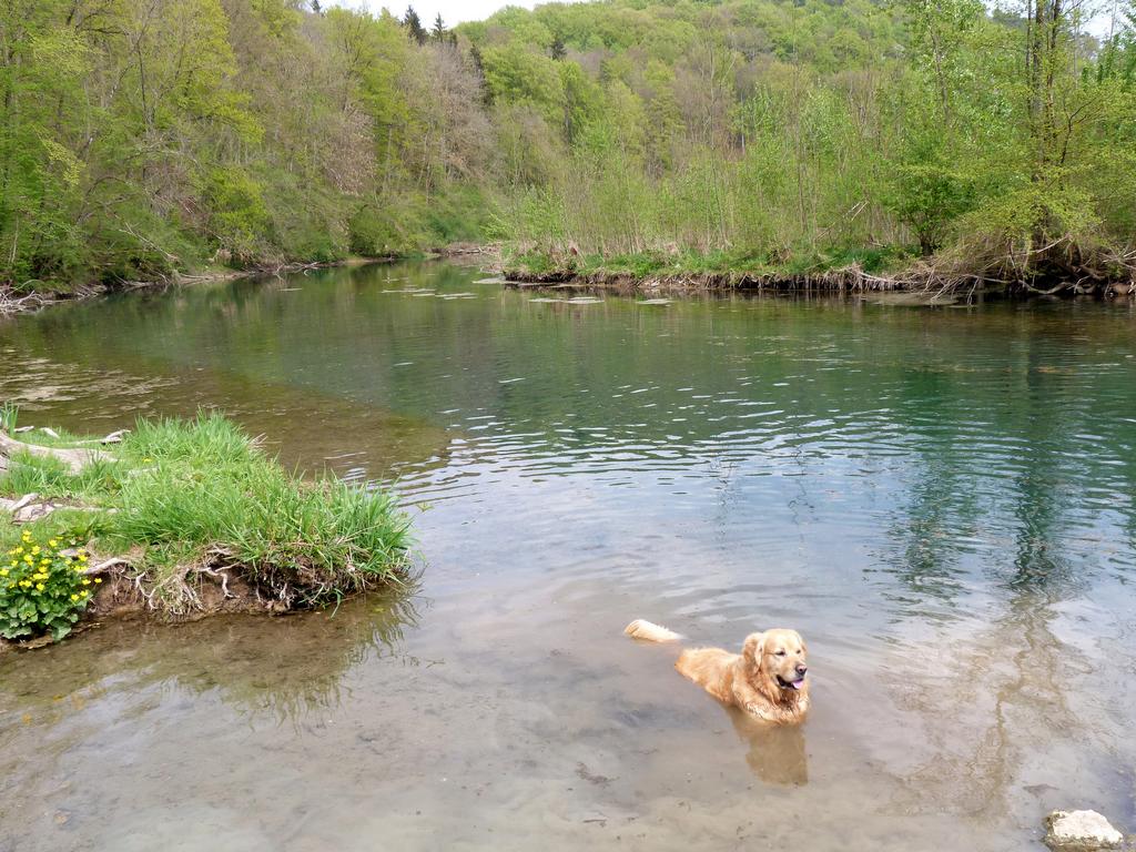 Cliqeu pour voir l'image suivante