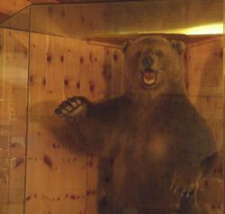 Clic pour agrandir l'image (811x768 pixels; 64 KB)