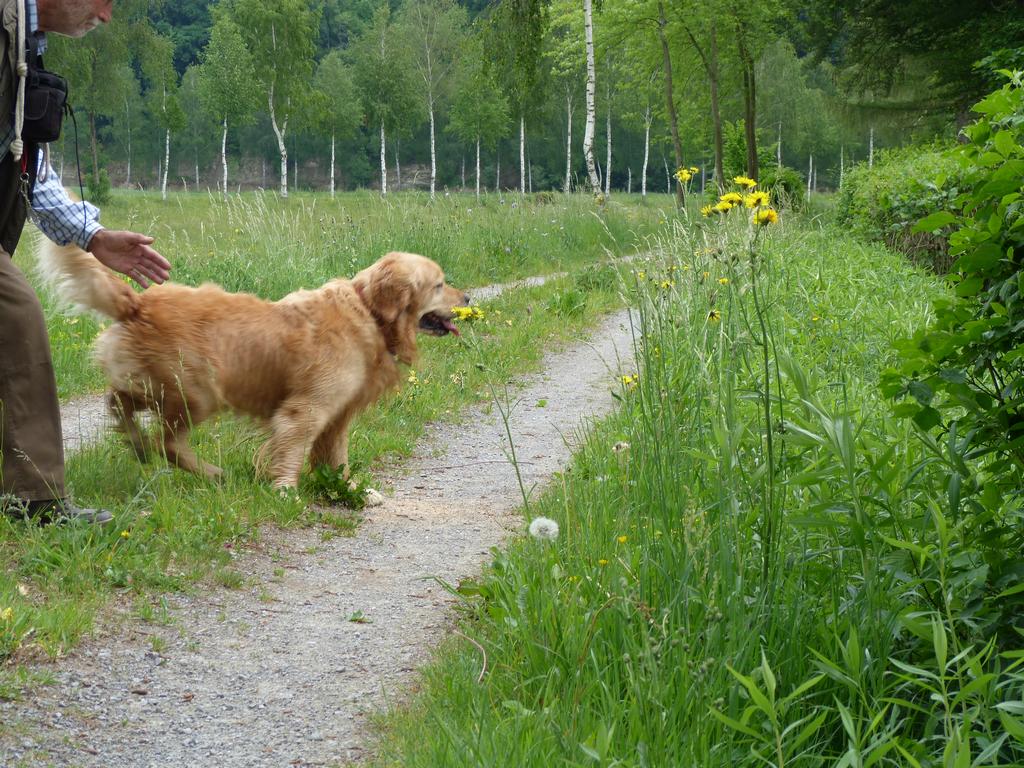 Cliqeu pour voir l'image suivante