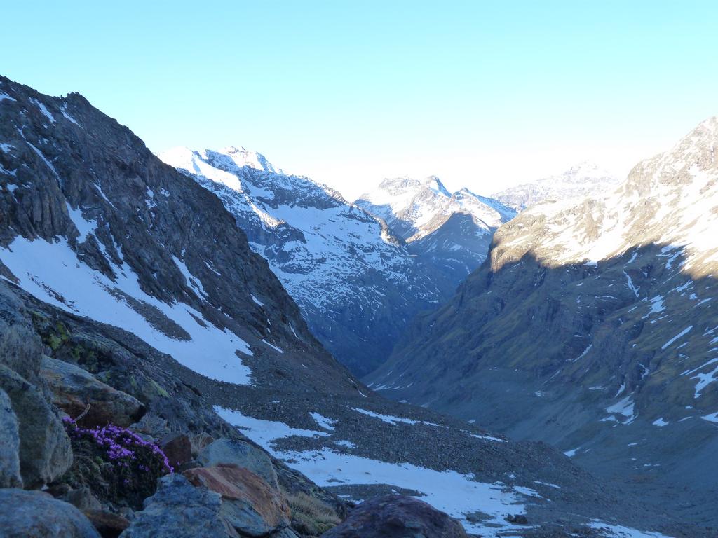 Cliqeu pour voir l'image suivante