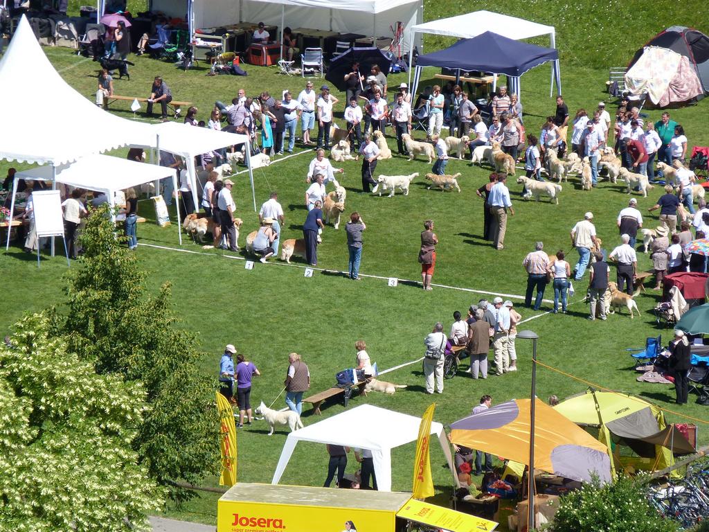 Cliqeu pour voir l'image suivante