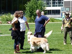 Clic pour agrandir l'image (1024x768 pixels; 195 KB)