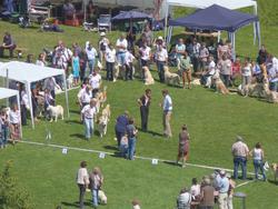 Clic pour agrandir l'image (1024x768 pixels; 161 KB)