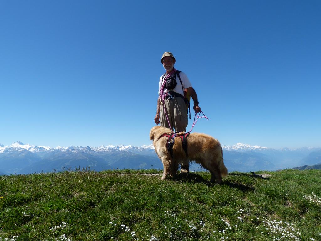 Cliqeu pour voir l'image suivante