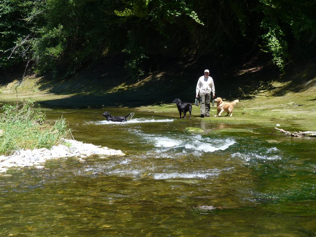 Clique pour voir l'image suivante