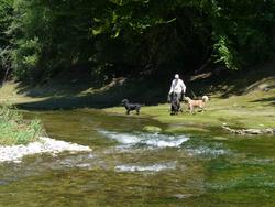 Clic pour agrandir l'image (1024x768 pixels; 157 KB)