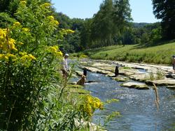 Clic pour agrandir l'image (1024x768 pixels; 220 KB)