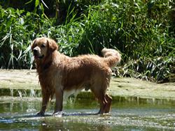 Clic pour agrandir l'image (1024x768 pixels; 170 KB)