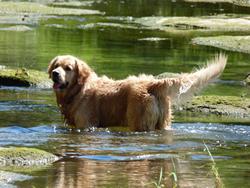 Clic pour agrandir l'image (1024x768 pixels; 124 KB)