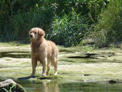 Clic pour agrandir l'image (1024x768 pixels; 167 KB)