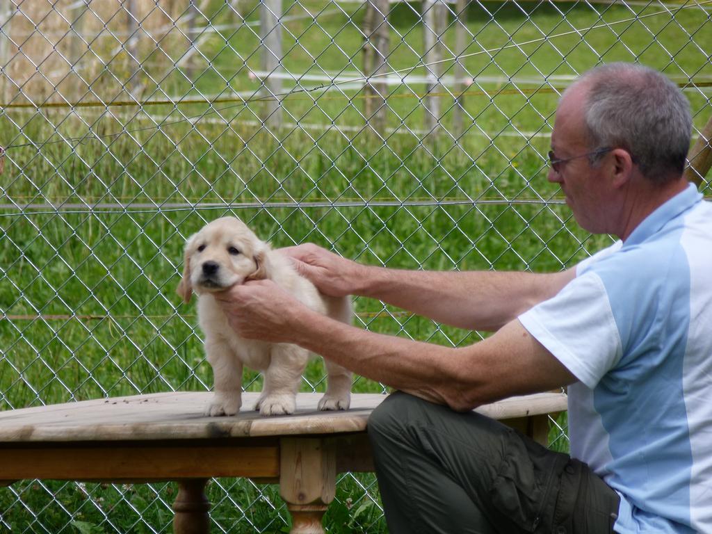 Clic pour l'image suivante