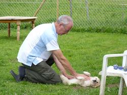 Clic pour agrandir l'image (1024x768 pixels; 154 KB)