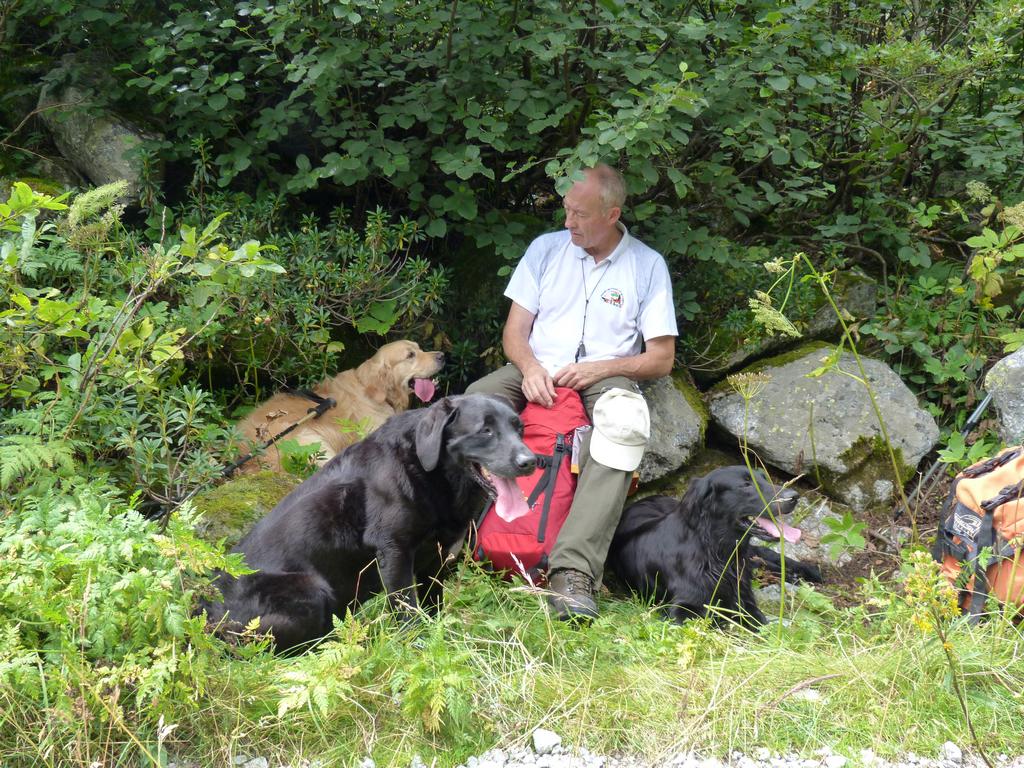 Clic pour l'image suivante