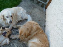 Clic pour agrandir l'image (1024x768 pixels; 130 KB)