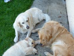 Clic pour agrandir l'image (1024x768 pixels; 144 KB)