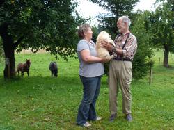 Clic pour agrandir l'image (1024x768 pixels; 181 KB)