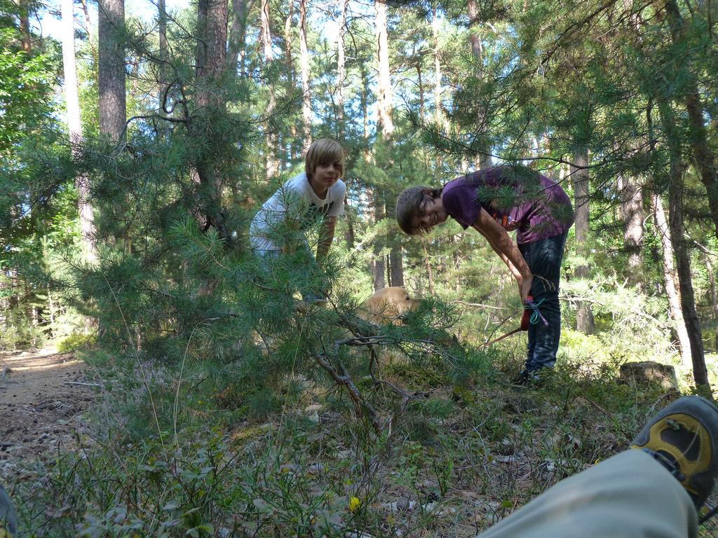 Clic pour l'image suivante