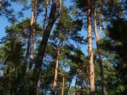 Clic pour agrandir l'image (1024x768 pixels; 237 KB)