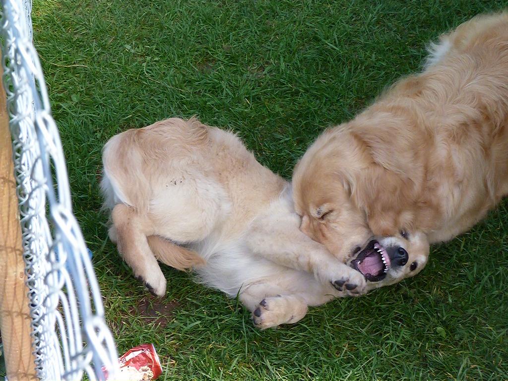 Clic pour l'image suivante