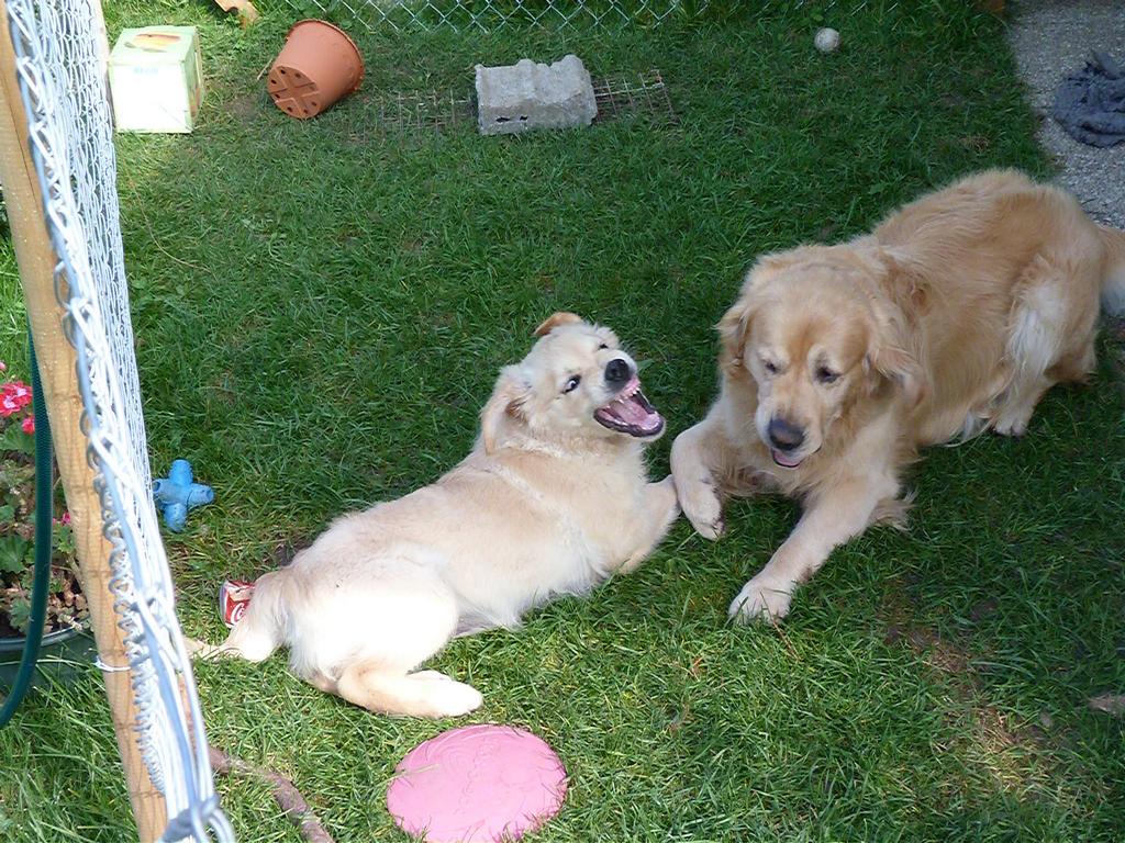 Clic pour l'image suivante