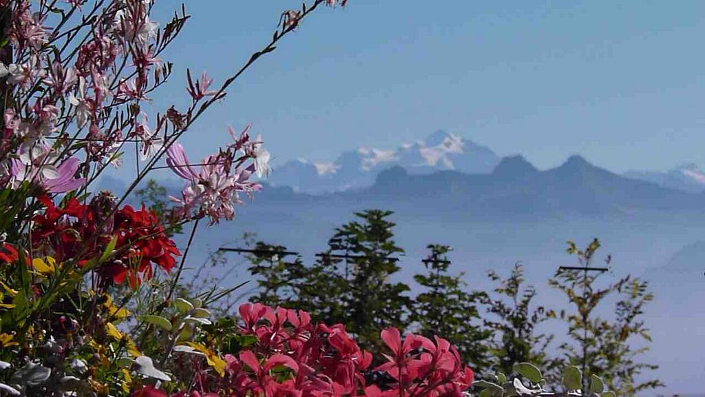 Clic pour l'image suivante