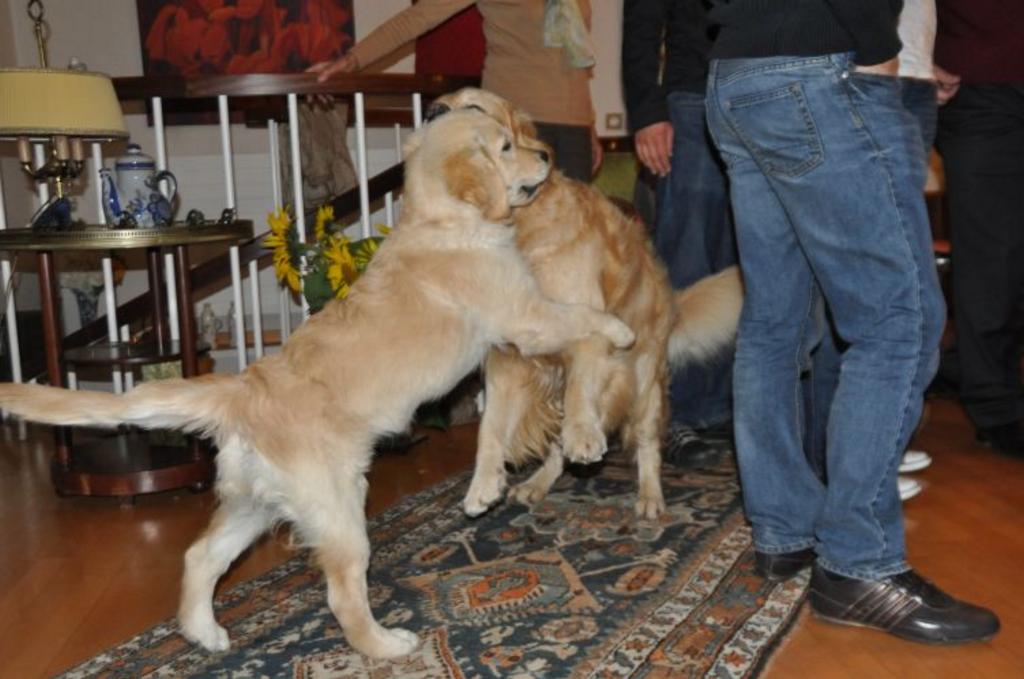 Clic pour l'image suivante