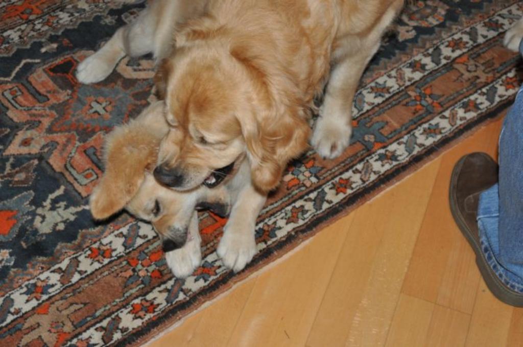 Clic pour l'image suivante