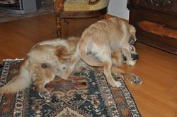 Clic pour agrandir l'image (1024x679 pixels; 81 KB)