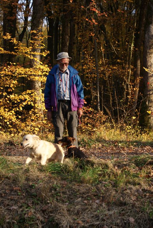 Clic pour l'image suivante